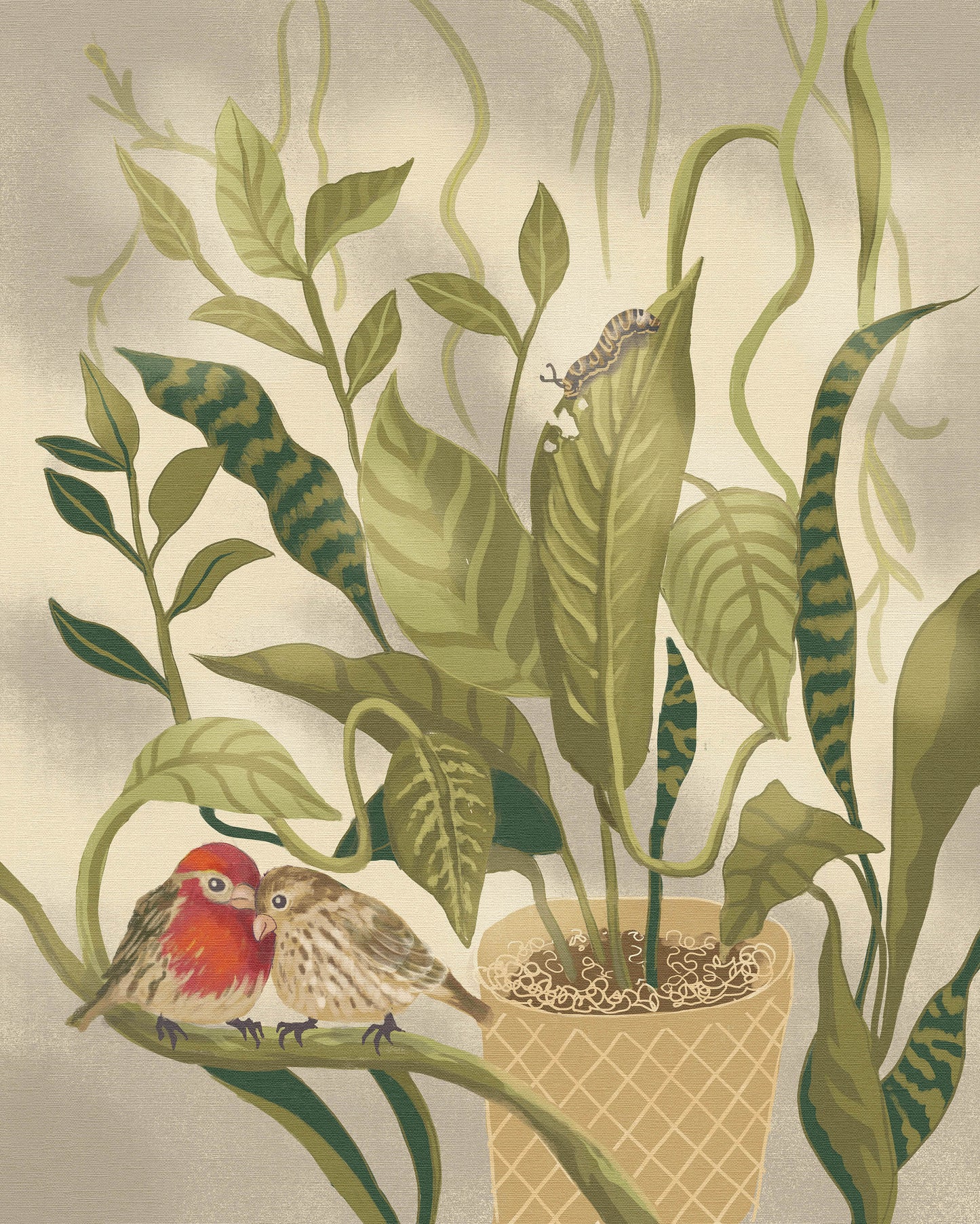 House Finch Homebodies 8x10 print