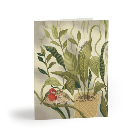 House Finch Homebodies Greeting cards (set of 8)