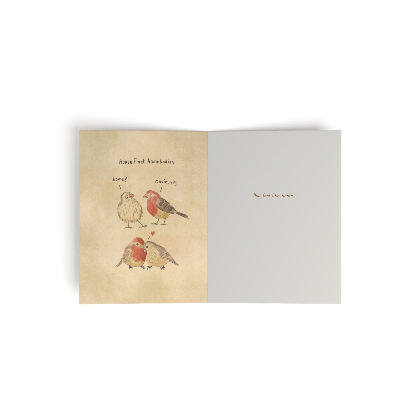 House Finch Homebodies Greeting cards (set of 8)