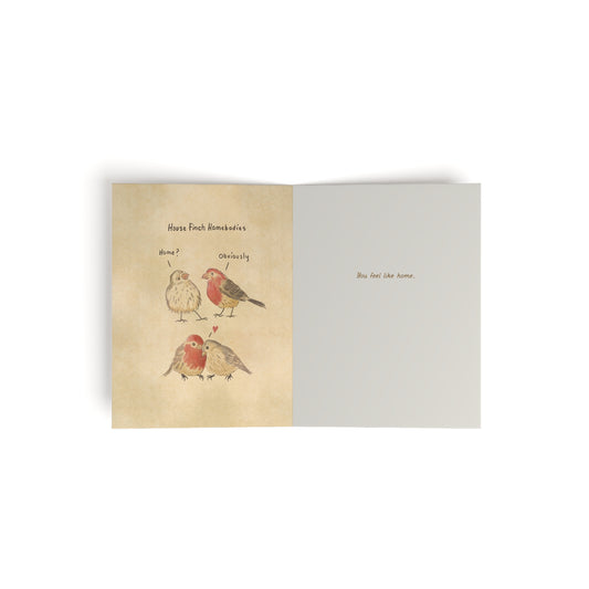 House Finch Homebodies Greeting cards (set of 8)