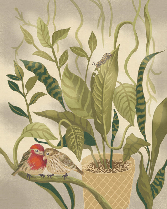 House Finch Homebodies 8x10 print